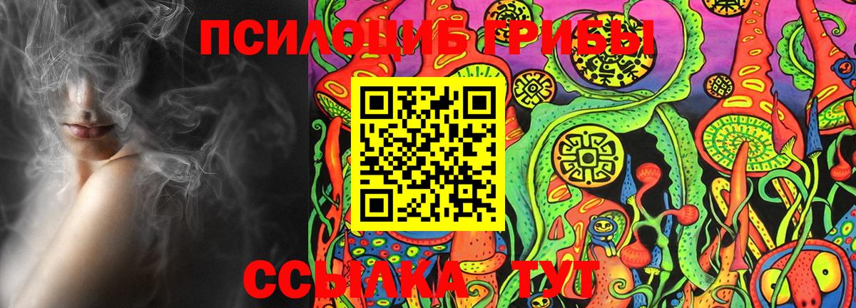 Псилоцибиновые грибы мухоморы  Кудымкар 