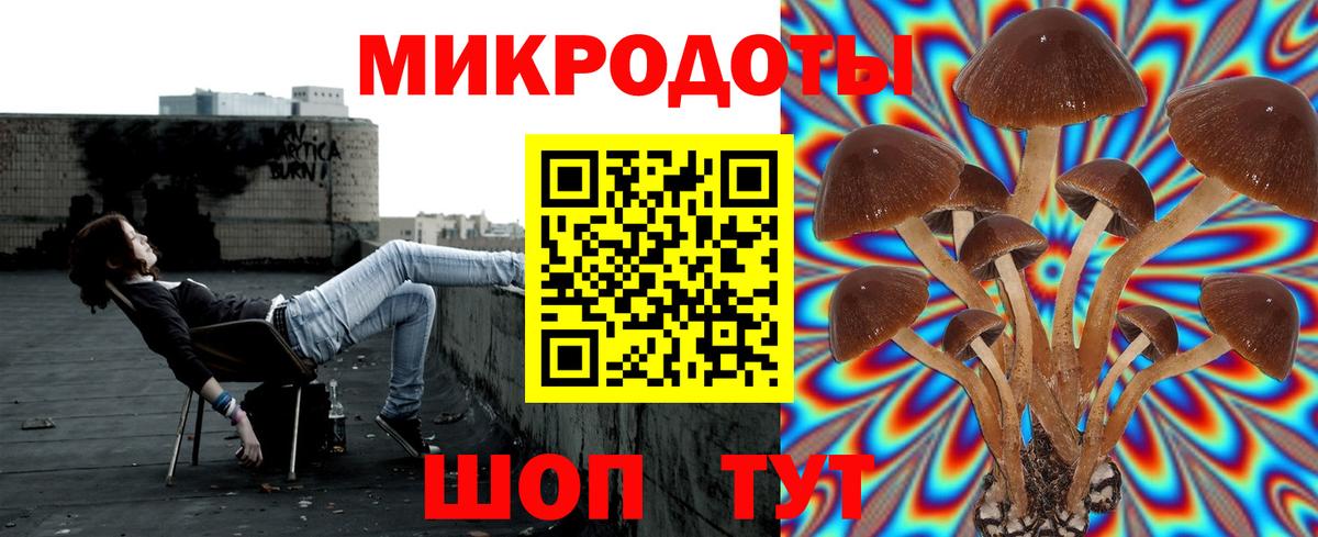 Галлюциногенные грибы Psilocybe Кудымкар